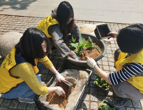 리레코 코리아 직원들이 수생식물을 화분에 심고 있다