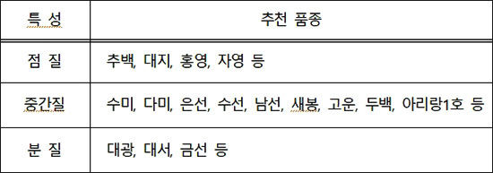 감자 특성별 품종 구분