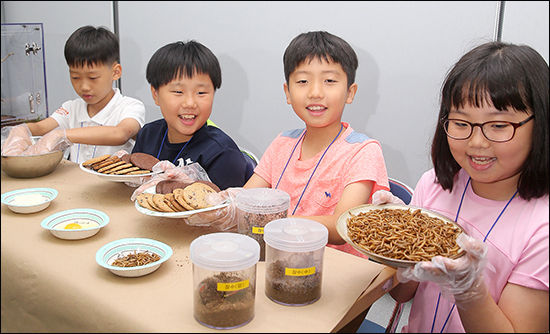 곤충요리 만들기