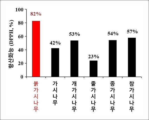 가시나무 종류의 항산화 효능 비교표
