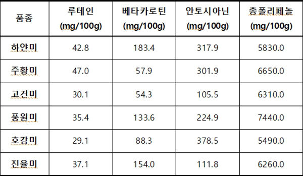 고구마 주요 품종의 기능성 성분