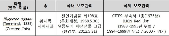따오기 개요