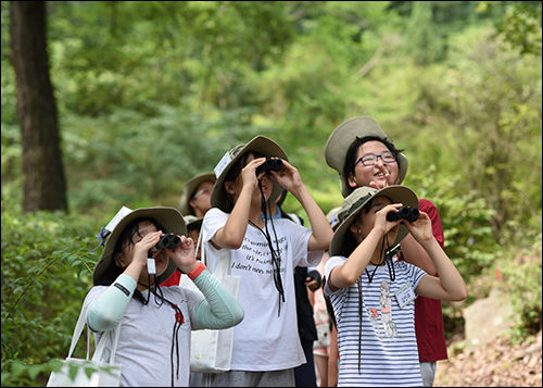 광릉숲 산새 탐험