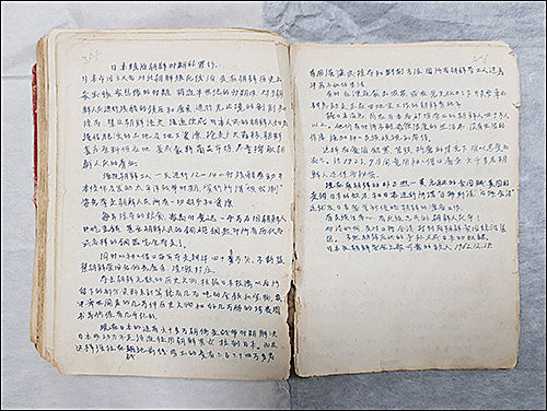 등록문화재 제756호 《이자해자전 초고본》