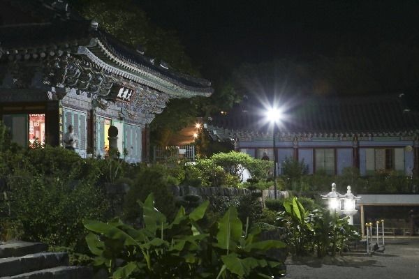 새벽 대원사 대웅전