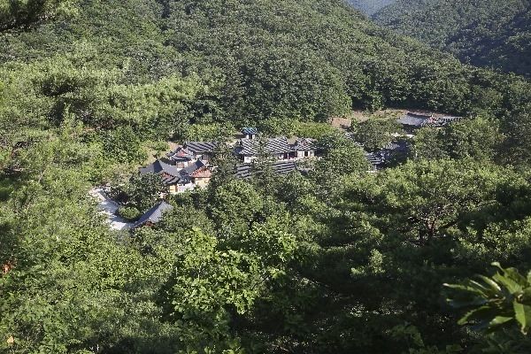 성철스님 좌선대에서 본 대원사 전각들