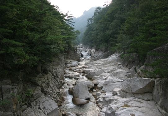 소금강계곡, 강원 강릉시 연곡면 삼산리 32-2, 오대산사무소 소금강분소(033-661-4161)