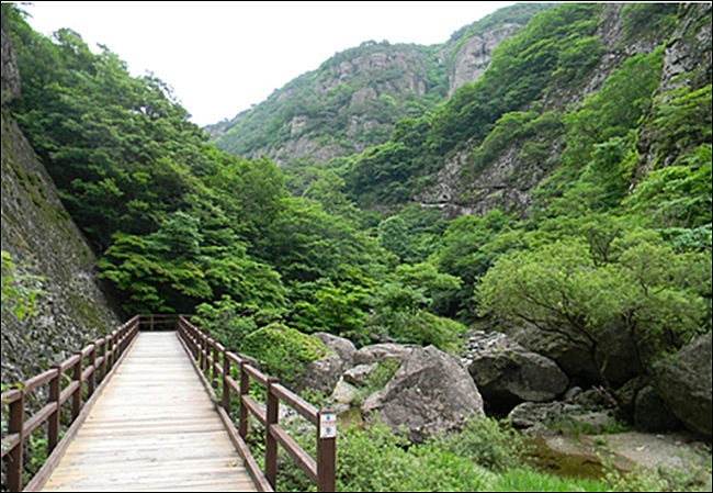 절골계곡, 경북 청송군 주왕산면 주산지길 121-170, 주왕산사무소 절골분소(054-873-0019)