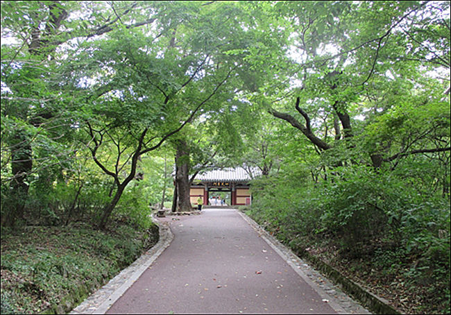 갑사 오리숲(갑사주차장~갑사, 편도 0.9km), 충남 공주시 계룡면 중장리 138, 계룡산국립공원사무소(042-825-3003)