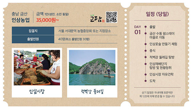 금산 인삼농업