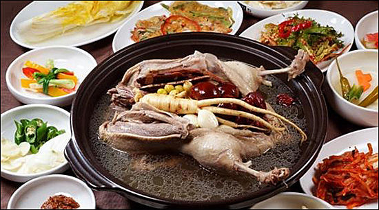 복날의 대표 보양식 삼계탕