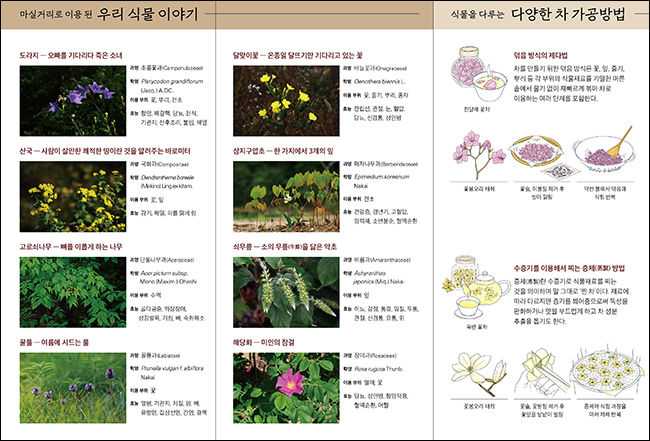 <마셔서 행복한 우리식물 이야기> 전단 2
