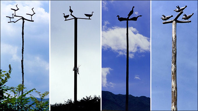 <세 마리 '솟대> 사진 7 = 충청북도 충주시 동량면 하천리, 개천안 '짐대'. (2005, 황준구 사진) / 사진 8 = 강원도 강릉시 옥계면 금진리, 골맥이 '서낭'. (2007, 황준구 사진) / 사진 9 = 전라북도 남원시 주천면 호경리, 내촌 ‘짐대당산’. (본디의 옛'솟대'에는, '오리'였으나 언제부터인가 무슨 까닭인지 '고니'(거위)로 바뀌어졌다. (2010, 황준구 사진) / 사진 10 = 경상남도 남해군 이동면 화계리, '배선대', (2002, 황준구 사진)