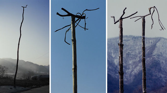 사진 10, 전라북도 정읍시 산외면 목욕리, 뫼약수마을 '소줏대' (2002, 황준구 사진). 사진 11, 전라북도 순창군 복흥면 석보리, 가마골'짐대' (2013, 황준구 사진). 사진 12, 전라북도 순창군 구림면 금창리, 금상골 '오리수염 진대' (2012, 황준구 사진)