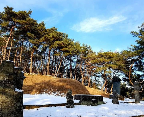경북 안동에 있는 퇴계 이황의 무덤