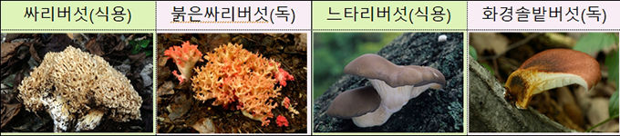 출처, 국립수목원