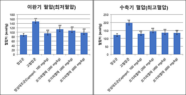오가피열매 추출물의 고혈압 동물모델에서의 고혈압 억제효능