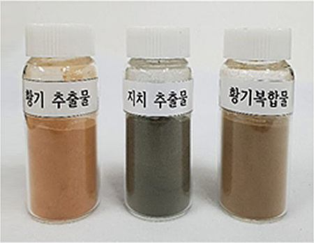 추출물과 복합물