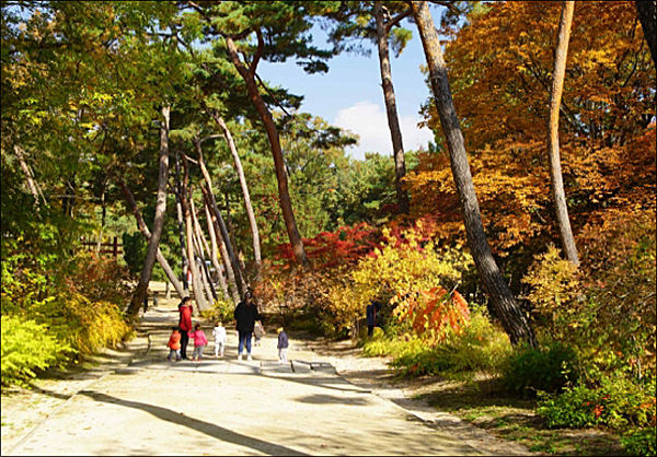 서울 태릉 숲길