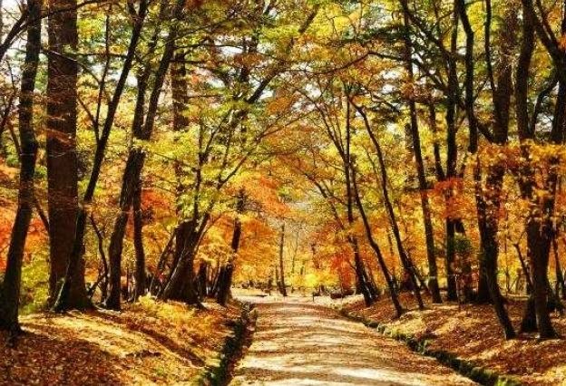 남양주 광릉 숲길