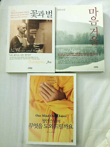 청안스님은 수행 정진 중에도 꾸준히 '꽃과 벌'(2006년), '마음거울'(2009), '무엇을 도와드릴까요?'(2011) 등의 저서를 통해 선수행자의 길을 일반 대중에게 알리고 있다.