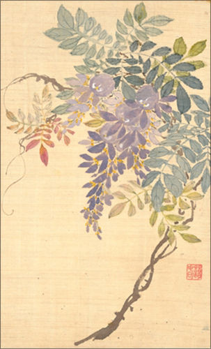 신명연, <등꽃>, 《산수화훼도첩》 중 1면, 조선 19세기 전반, 종이에 먹, 30×17.9cm, ⓐ국립중앙박물관