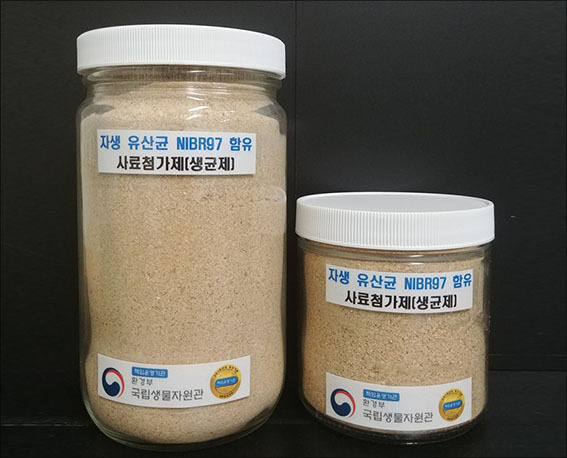 자생 유산균 NIBR97 함유 생균제 시제품