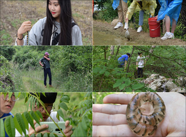 활동 모습 2