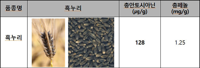 우수 기능성 흑색 쌀보리 ‘흑누리’