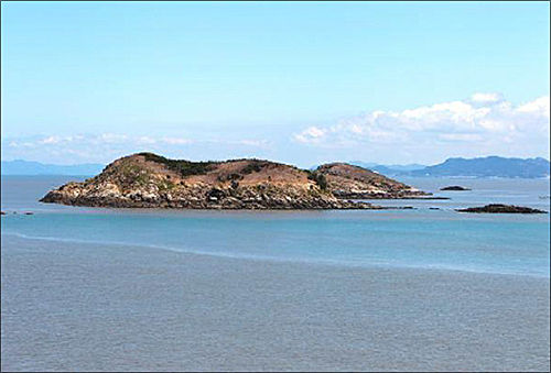 노랑부리백로 번식지인 영광 칠산도 전경