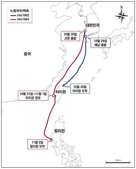 노랑부리백로 이동 경로<br>
- 노랑부리백로(개체번호: nhc1902) : 2019년 10월 29일 전남 해남 인근 갯벌을 떠난 뒤 평균시속 54km 속도로 제주도 상공을 지나 약 1,215km를 24시간 비행하여 다음날인 30일 타이완 북동쪽 신베이시 해안습지에 도착<br>
- 노랑부리백로(개체번호: nhc1904) : 2019년 10월 30일 전북 고창 연안 갯벌에서 출발하여 평균시속 51km 속도로 약 1,447km를 29시간 비행하여 다음날인 31일 타이완 타이난 지역에 도착해 하루 머물렀고, 다시 1,340km를 19시간 이동하여 다음날인 11월 2일 필리핀 산토 토마스 강 하구에 도착