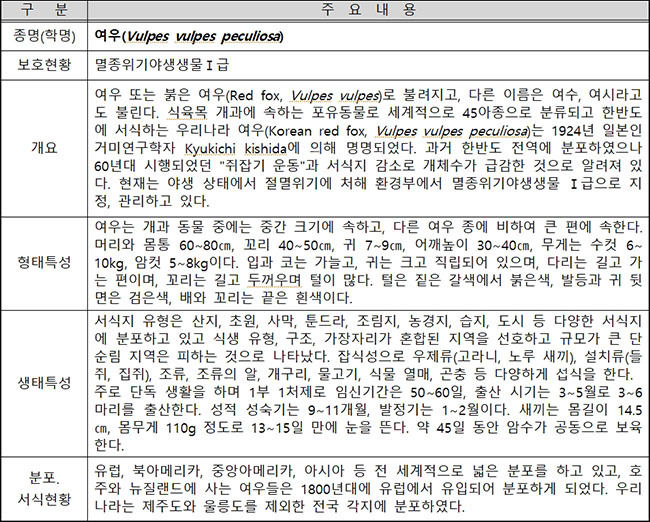 여우의 특성 및 서식 현황