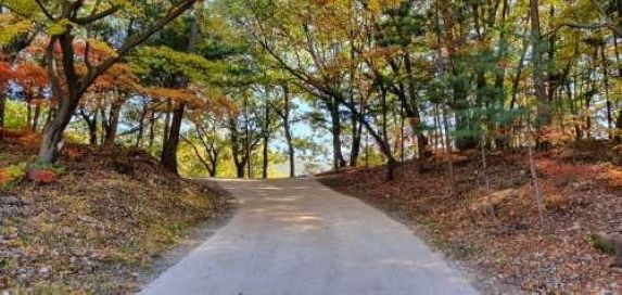 양주 온릉 숲길