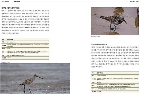 《생태로 배우는 유부도 이야기》 내지 2