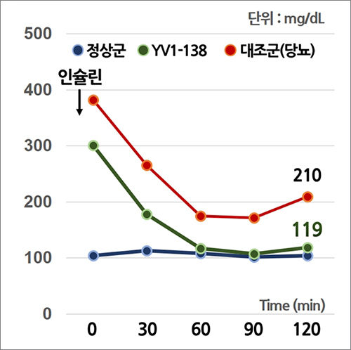 YV1-138 팥 식이처리에 따라 인슐린 감수성을 증가시킴