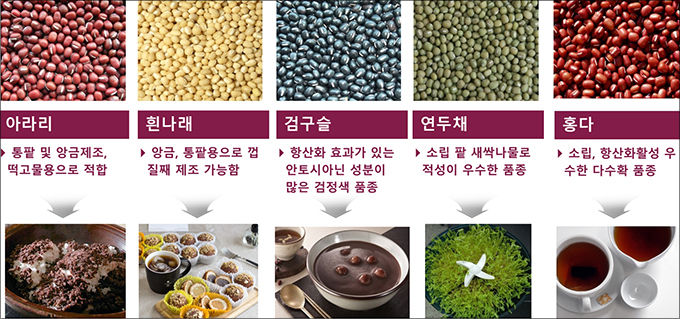 팥 주요 품종