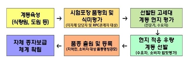 수요자 참여형 벼 품종개발 프로그램 단계별 과정