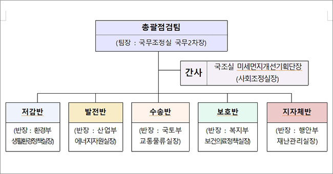 미세먼지 총괄점검팀 구성(안)