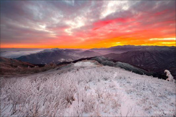 지리산 바래봉 눈꽃 해돋이