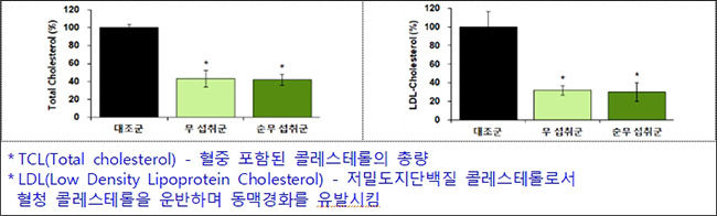 혈중 콜레스테롤 분석