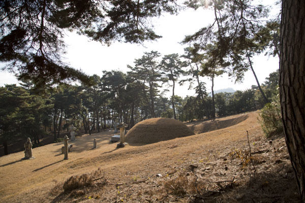 충주 평택임씨의 선산에 안장된 임경업장군의 묘