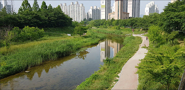 서호천 전경