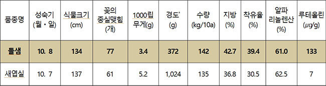 들깨 ‘들샘’ 생육 및 수량 특성