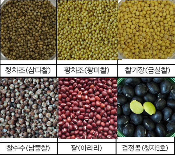 잡곡 종류별 알곡 사진