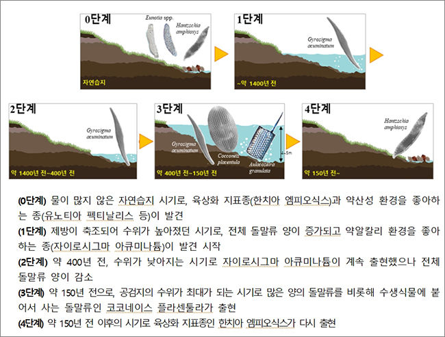 생물학적으로 분석한 상주 공검지의 단계별 변화과정