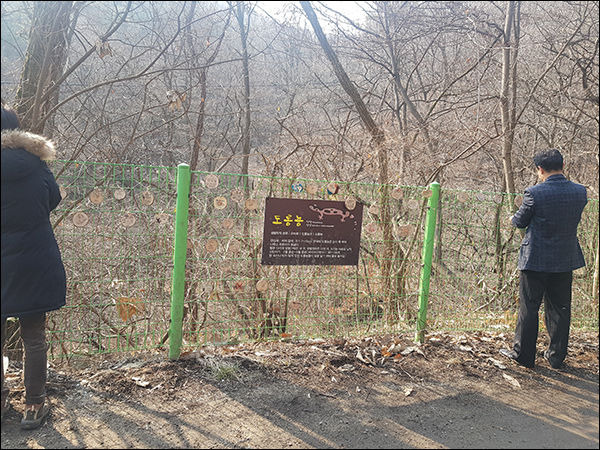 수원시 공무원과 환경단체 관계자가 양서류 서식지 주변 보호망에 양서류 보호 알림을 담은 나뭇조각을 달고 있다.