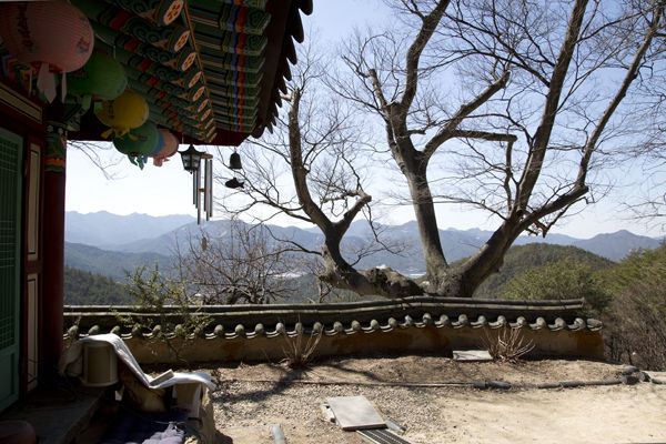 요사채 앞에서 본 풍광