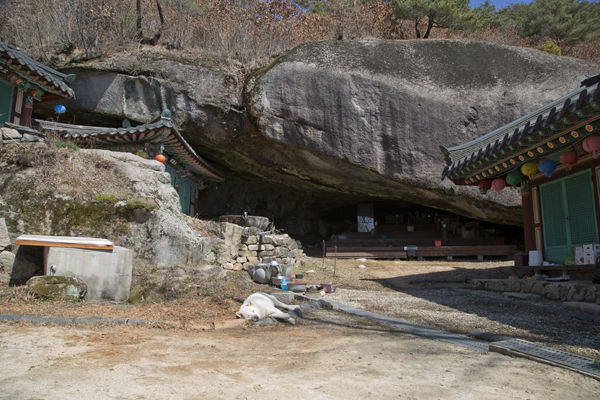 석천암 입구에서 본 거북바위, 거북의 머리가 대웅전쪽으로 쭉 뻗어있는 모습