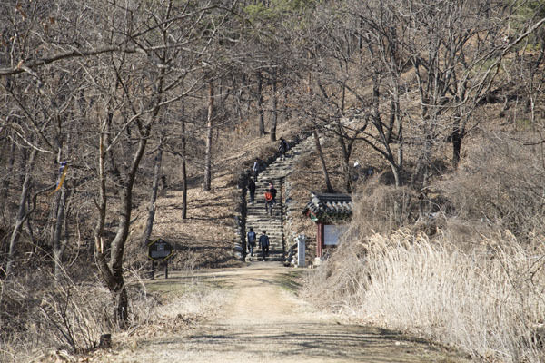 최영장군 무덤으로 오르는 사람들과 계단 주변 모습