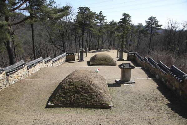 사진상 앞쪽 무덤은 최원직(최영장군의 아버지)의 무덤이고, 뒤쪽 무덤은 최영장군의 무덤